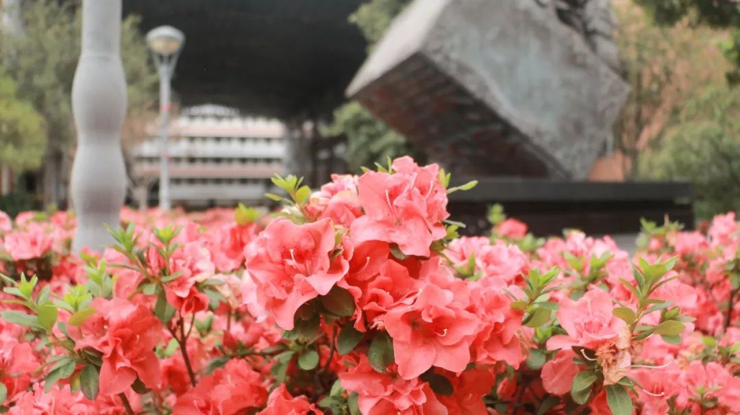 東莞技校 東莞技校